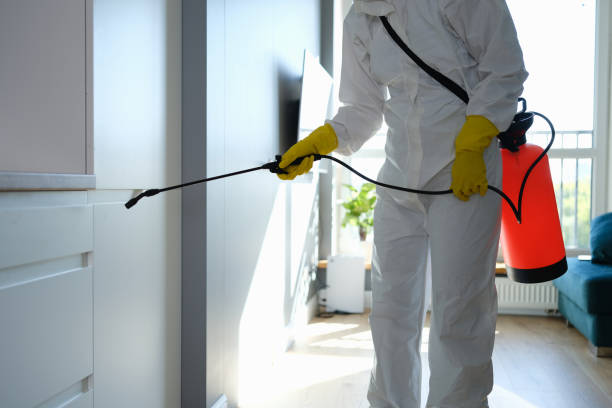 Best White Mold Remediation in Sunset Beach, NC
